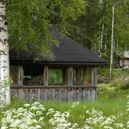 Tarina-aho * Vuonislahti